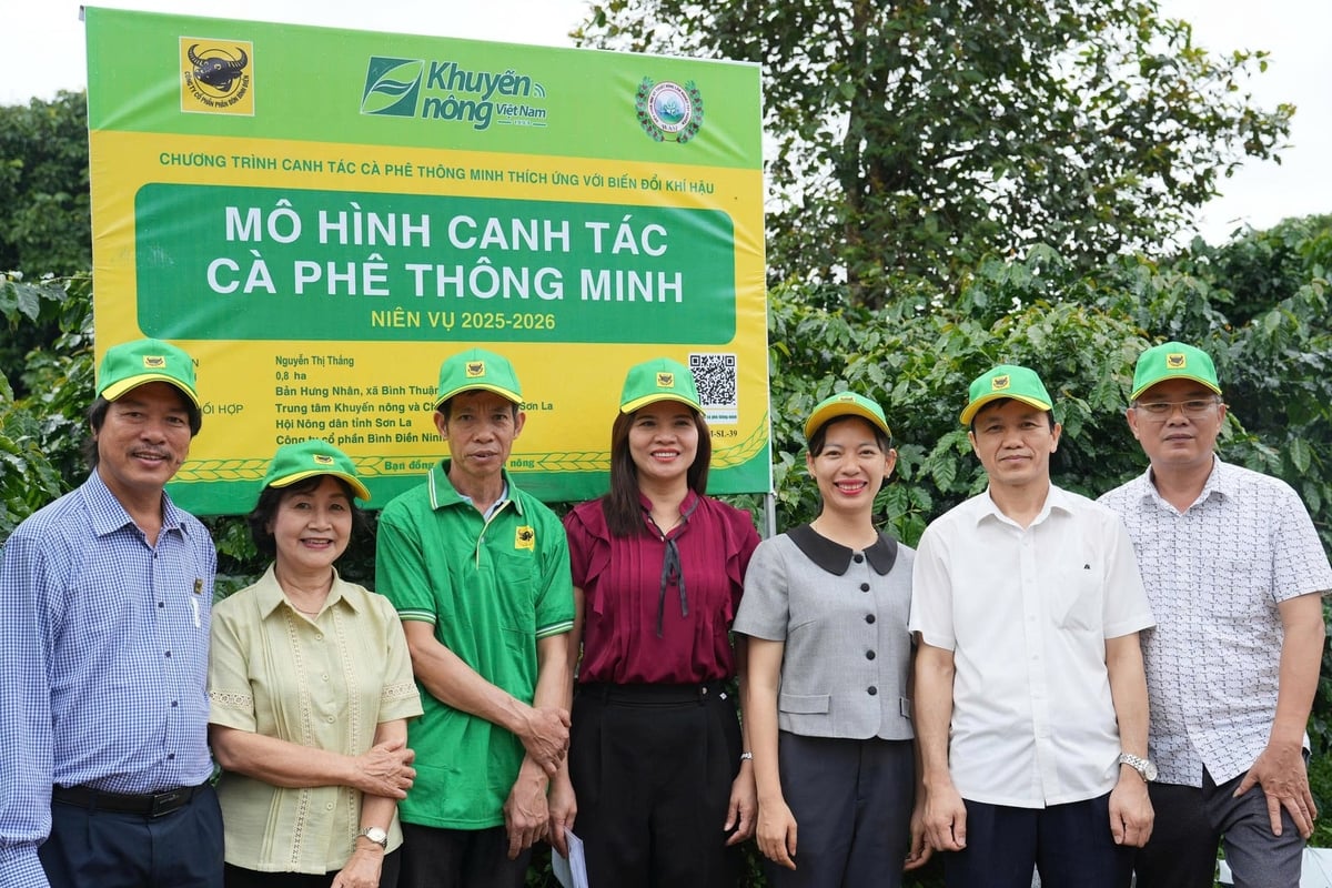 Chuyên gia của chương trình cùng đại diện Trung tâm Khuyến nông và Chuyển đổi số tỉnh Sơn La, Công ty Cổ phần Bình Điền - Ninh Bình thăm vườn mô hình tại xã Bình Thuận. Ảnh: BFC.