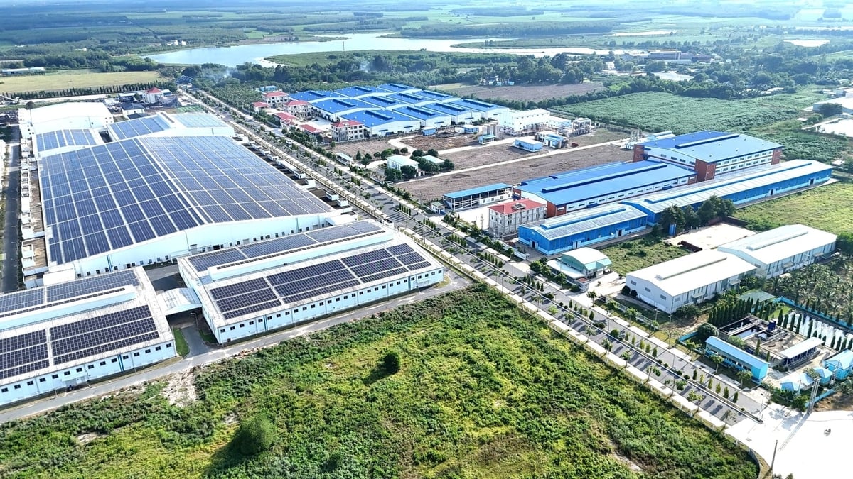 Tây Ninh đang có nhiều lợi thế để thu hút dòng vốn đầu tư vào chăn nuôi công nghệ cao. Ảnh: Đình Du.