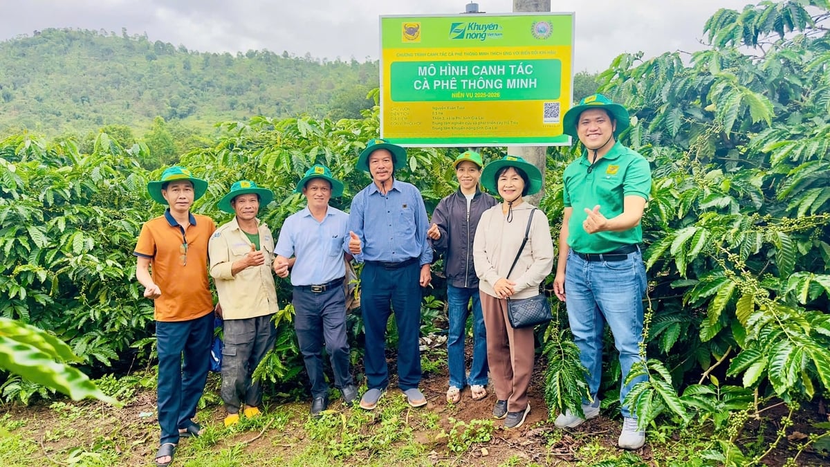 Đoàn chuyên gia và cán bộ kỹ thuật của Chương trình thăm vườn mô hình tại thôn 3, xã Ia Phí. Ảnh: Huy Duy.