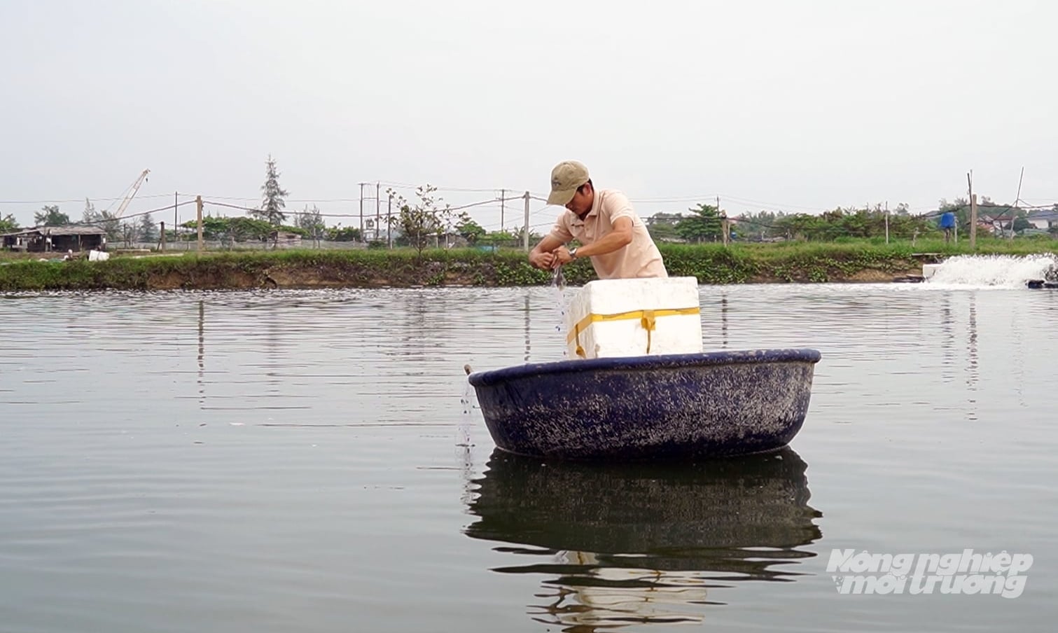 Là đối tượng nuôi nhạy cảm, nuôi cá nâu cần tuân thủ quy trình kỹ thuật chặt chẽ. Ảnh: Võ Dũng.