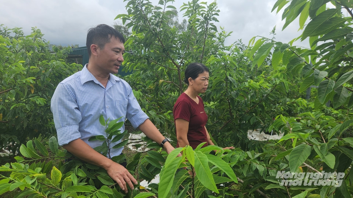 Cán bộ Trung tâm Khuyến nông và Quản lý Bảo vệ phát triển rừng Quảng Ninh hướng dẫn người dân chăm sóc cây na. Ảnh: Nguyễn Thành. Cán bộ Trung tâm Khuyến nông và Quản lý Bảo vệ phát triển rừng Quảng Ninh hướng dẫn người dân chăm sóc cây na. Ảnh: Nguyễn Thành.