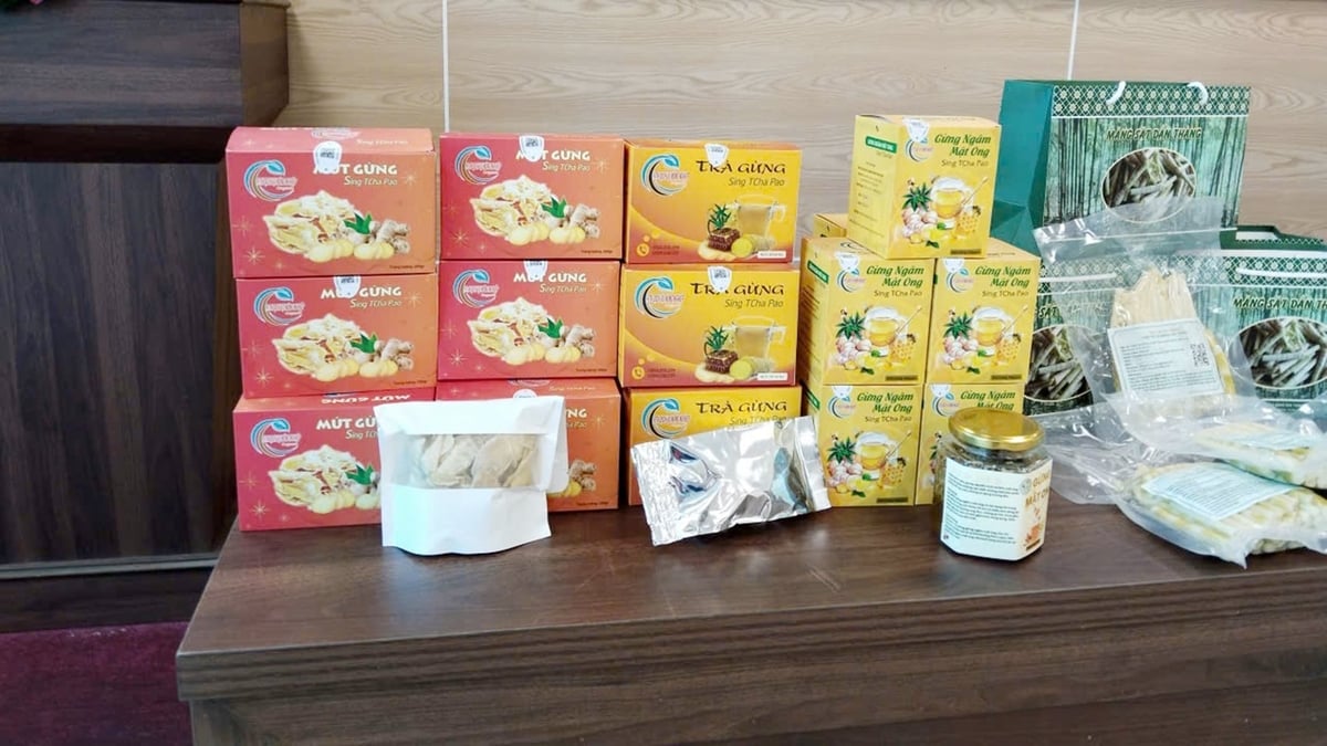 Gừng được HTX Nậm Chày chế biến thành đa dạng sản phẩm có giá trị cao. Ảnh: Hoàng Thao. Gừng được HTX Nậm Chày chế biến thành đa dạng sản phẩm có giá trị cao. Ảnh: Hoàng Thao.