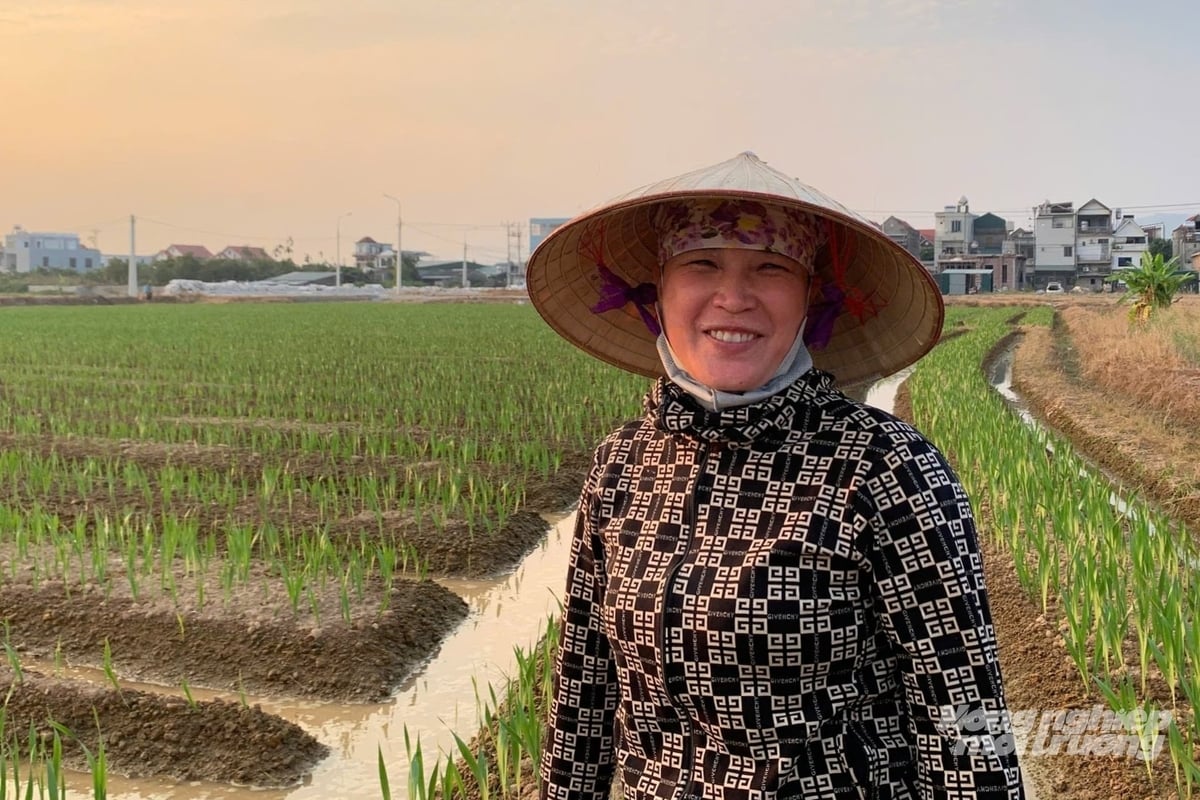 Chị Trần Thu Hiền kỳ vọng nâng cao lợi nhuận trong vụ hoa phục vụ Tết năm nay. Ảnh: Nguyễn Thành.