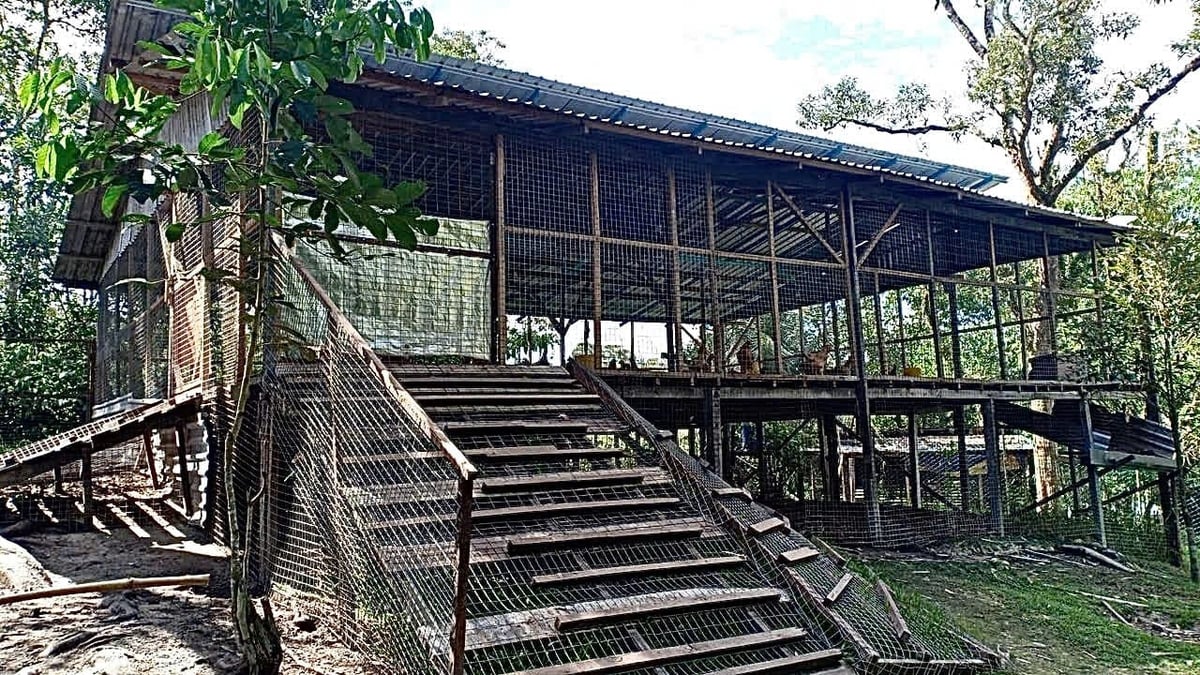 Chuồng gà tại trang trại Satoyama được dựng bằng gỗ với phần sàn nâng cao khỏi mặt đất để đảm bảo không gian thông thoáng. Ảnh: Thu Thủy.