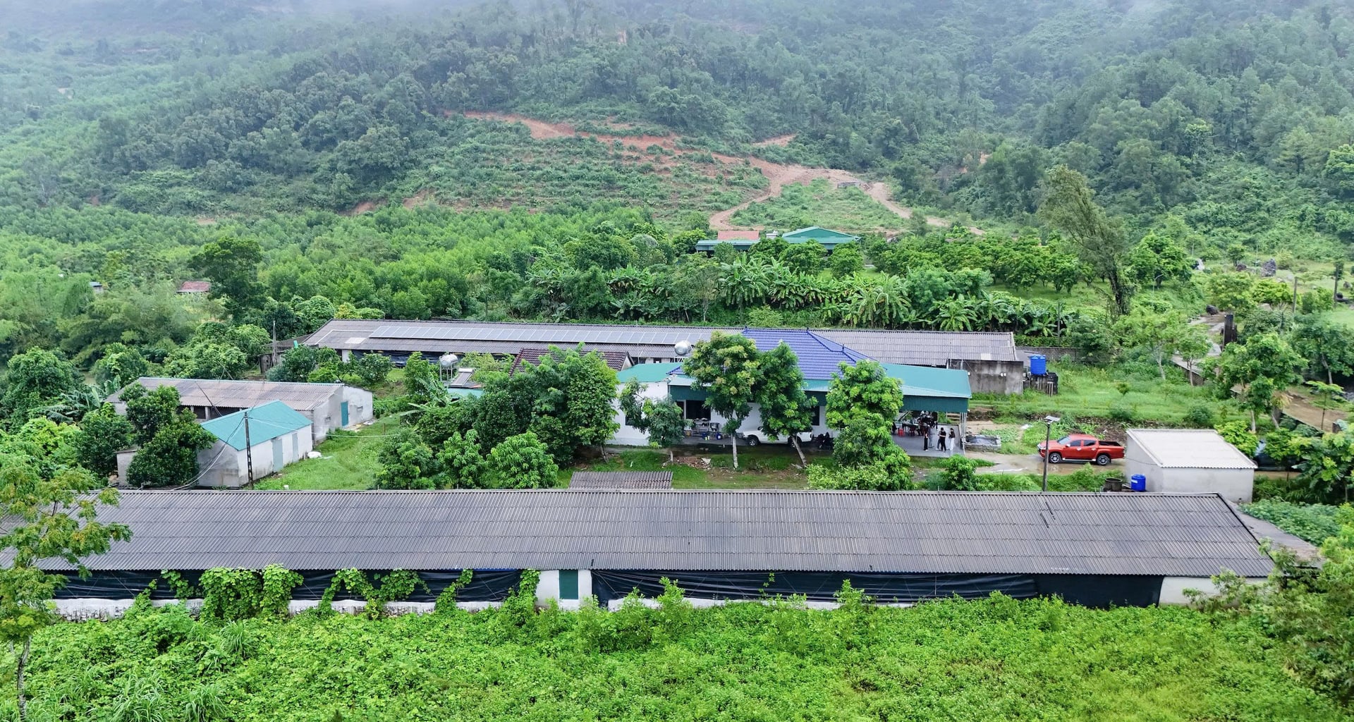 Đến nay, ông đã nuôi nuôi 8 lứa gà, mỗi lứa khoảng 14.000 con. Ảnh: Japfa Việt Nam.