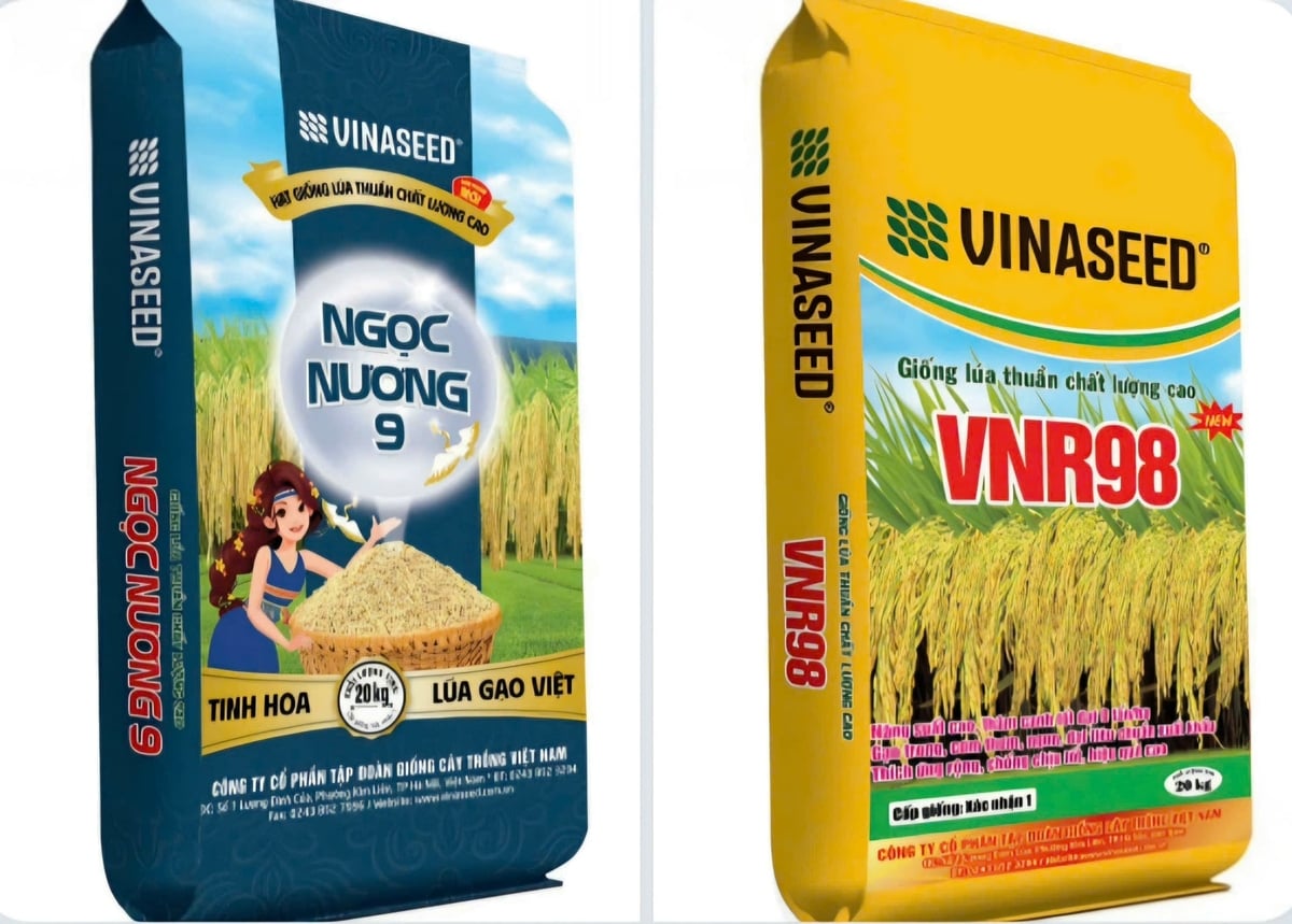 Giống lúa Ngọc Nương 9 và VNR98 của Vinaseed. Ảnh: Vinaseed Tây Nguyên. Giống lúa Ngọc Nương 9 và VNR98 của Vinaseed. Ảnh: Vinaseed Tây Nguyên.