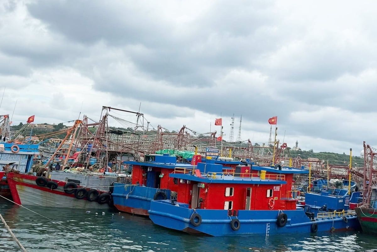 Điều kiện thời tiết xấu, biển động mạnh khiến nhiều tàu cá đang hoạt động trên biển phải di chuyển vào neo đậu tại âu cảng phía Tây Nam đảo Bạch Long Vĩ để tránh trú. Ảnh: Nam Cận. 