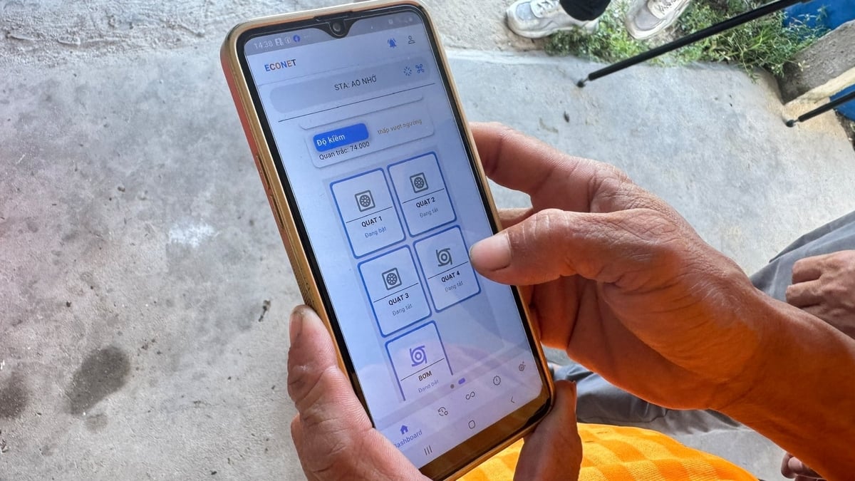 Người nuôi có thể theo dõi môi trường trong ao thông qua app trên điện thoại. Ảnh: L.K. Người nuôi có thể theo dõi môi trường trong ao thông qua app trên điện thoại. Ảnh: L.K.