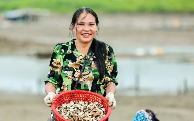 Thanh Hóa chuẩn hóa vùng nuôi ngao, hướng tới thị trường xuất khẩu. Ảnh: Hữu Dụng. Thanh Hóa chuẩn hóa vùng nuôi ngao, hướng tới thị trường xuất khẩu. Ảnh: Hữu Dụng.