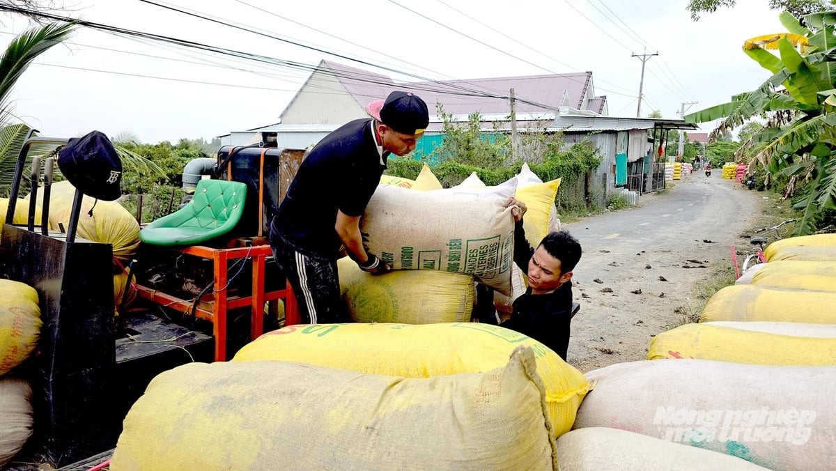 Giảm chi phí đầu vào, nâng cao hiệu quả kinh tế là động lực để nông dân tham gia sản xuất lúa phát thải thấp. Ảnh: Minh Sáng.