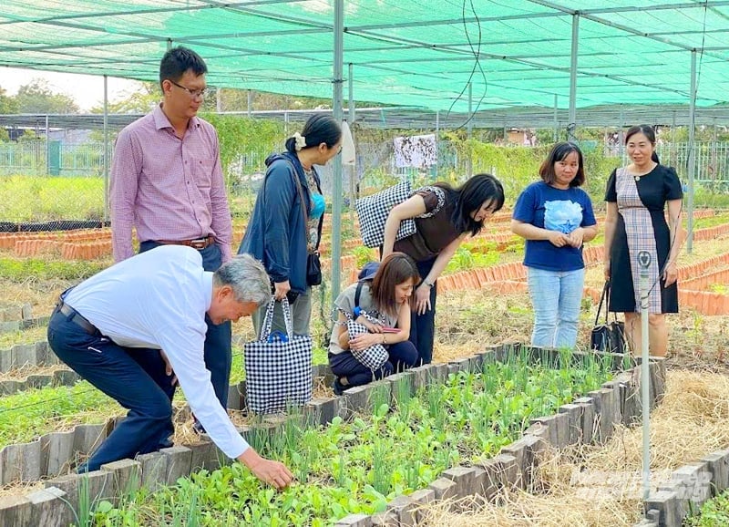 Các chuyên gia Nhật Bản cùng cán bộ ngành nông nghiệp Đồng Tháp tham quan mô hình vườn rau hữu cơ, trao đổi kỹ thuật canh tác và phát triển hệ thống bảo đảm cùng tham gia (PGS) tại địa phương. Ảnh: Lê Hoàng Vũ. Các chuyên gia Nhật Bản cùng cán bộ ngành nông nghiệp Đồng Tháp tham quan mô hình vườn rau hữu cơ, trao đổi kỹ thuật canh tác và phát triển hệ thống bảo đảm cùng tham gia (PGS) tại địa phương. Ảnh: Lê Hoàng Vũ.
