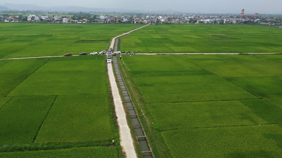 Khuyến nông đóng vai trò rất quan trọng trong cơ cấu lại ngành nông nghiệp Nghệ An. Ảnh: Thu Thủy.