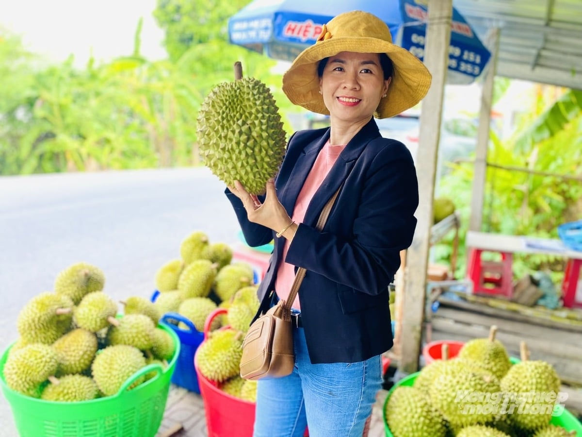 Kiểm soát chặt chẽ chất lượng sầu riêng từ khâu thu hoạch đến tiêu thụ giúp nâng cao giá trị sản phẩm. Ảnh: Lê Hoàng Vũ.