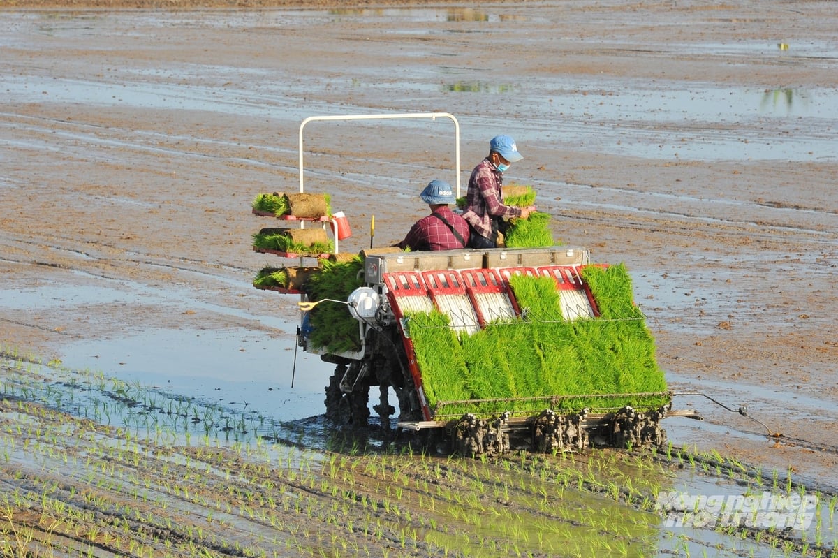 Nông dân sử dụng máy cấy giúp giảm công lao động, tạo điều kiện tổ chức canh tác đồng bộ. Ảnh: Lê Hoàng Vũ. Nông dân sử dụng máy cấy giúp giảm công lao động, tạo điều kiện tổ chức canh tác đồng bộ. Ảnh: Lê Hoàng Vũ.