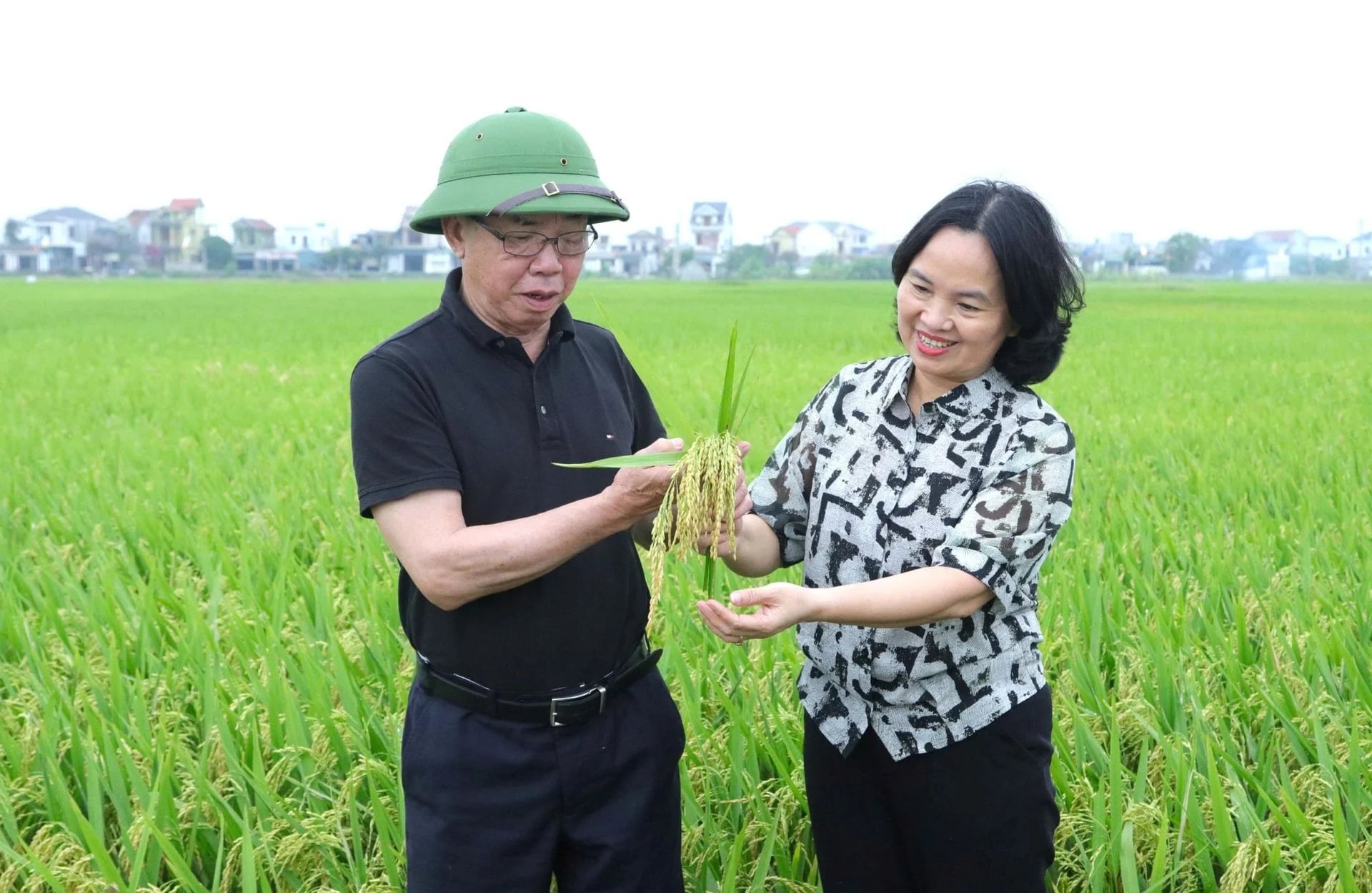 Khuyến nông Nghệ An đồng hành với nông dân trong quá trình sản xuất, xúc tiến thương mại đến tiêu thụ sản phẩm. Ảnh: Thu Thủy.