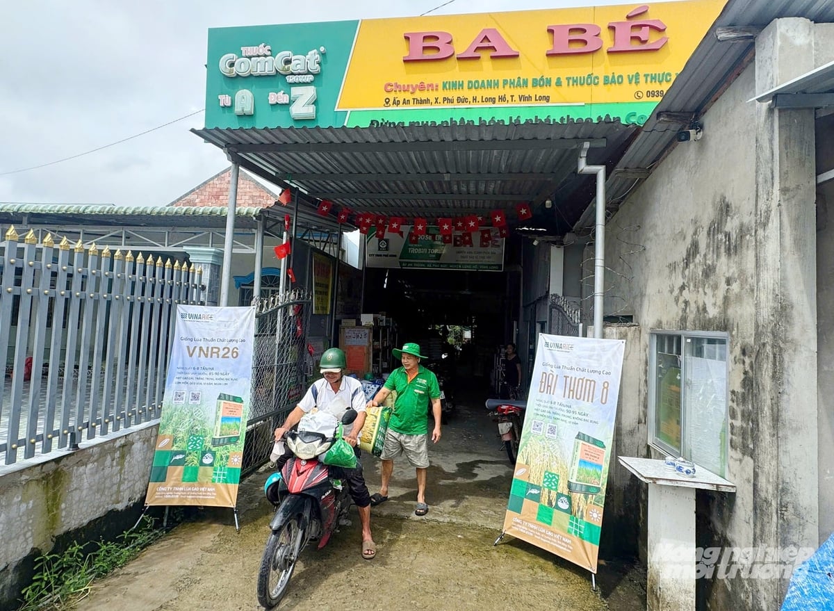 Đại lý kinh doanh vật tư nông nghiệp trưng bày các giống lúa chất lượng cao phục vụ nhu cầu sản xuất vụ đông xuân 2026 - 2027 của nông dân. Ảnh: Lê Hoàng Vũ. Đại lý kinh doanh vật tư nông nghiệp trưng bày các giống lúa chất lượng cao phục vụ nhu cầu sản xuất vụ đông xuân 2026 - 2027 của nông dân. Ảnh: Lê Hoàng Vũ.