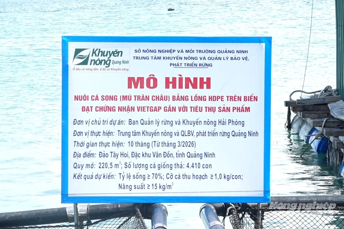 Mô hình được đánh giá kết quả, làm cơ sở để nhân rộng trong tương lai. Ảnh: Nguyễn Thành. Mô hình được đánh giá kết quả, làm cơ sở để nhân rộng trong tương lai. Ảnh: Nguyễn Thành.