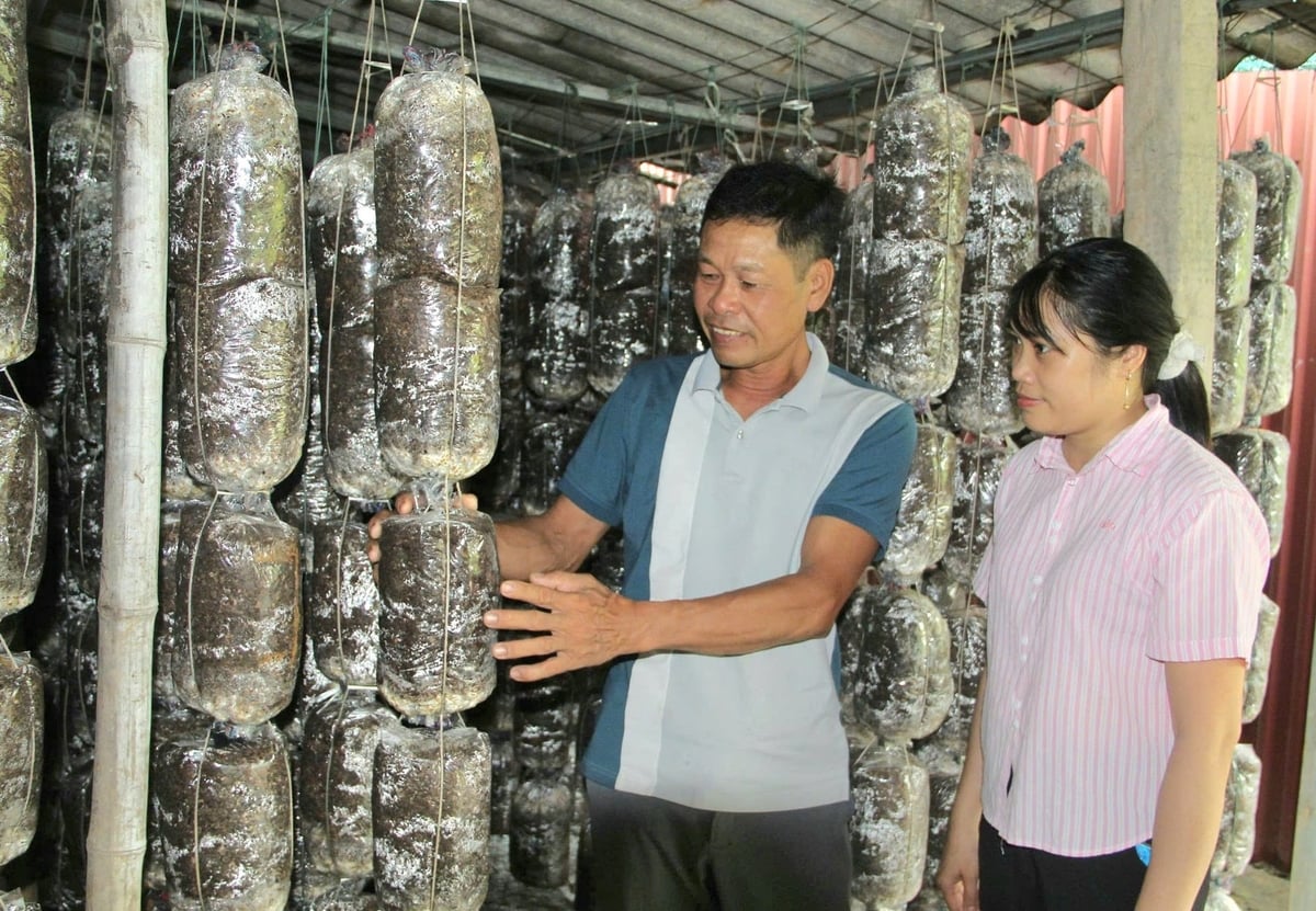 Cán bộ khuyến nông (phải) thuộc Trung tâm Dịch vụ sự nghiệp công xã Vĩnh Hải bám sát cơ sở, gần dân để nắm bắt kịp thời tình hình sản xuất. Ảnh: Hoàng Phong.