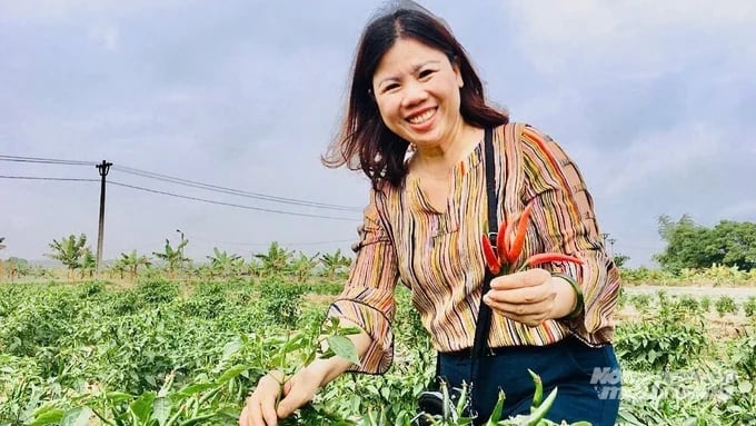 HTX Dịch vụ nông nghiệp chất lượng cao Hoa Phong ưu tiên sử dụng phân vi sinh, phân hữu cơ để cây trồng khỏe mạnh. Ảnh: Nguyễn Thành.