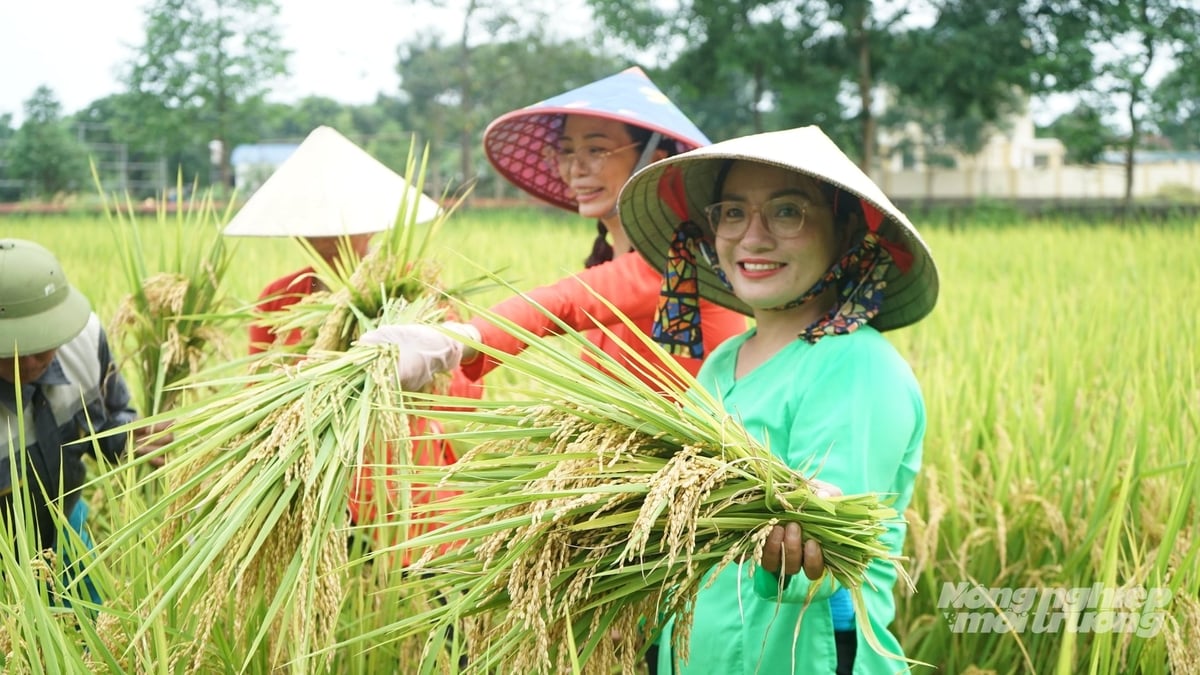 Tổng sản lượng lương thực có hạt của Quảng Ninh trong 8 tháng đầu năm 2026 đạt 102.000 tấn. Ảnh: Nguyễn Thành.