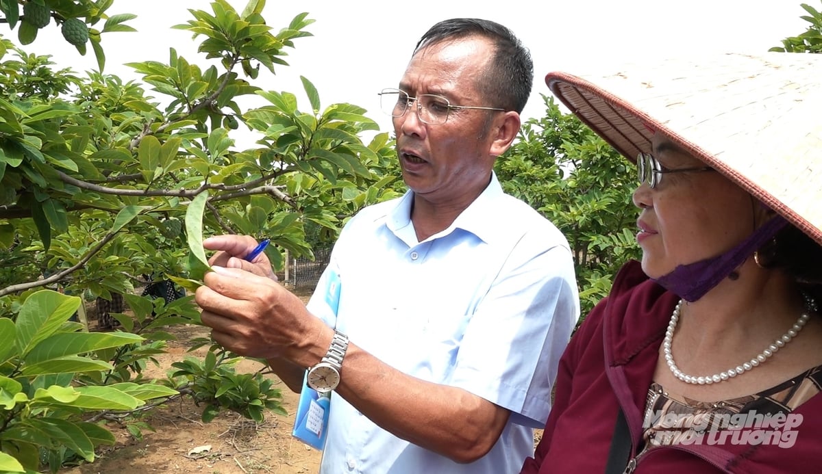 Ông Nguyễn Văn Khoa chia sẻ kinh nghiệm từ lớp tập huấn IPHM cho bà con. Ảnh: Nguyễn Thành.