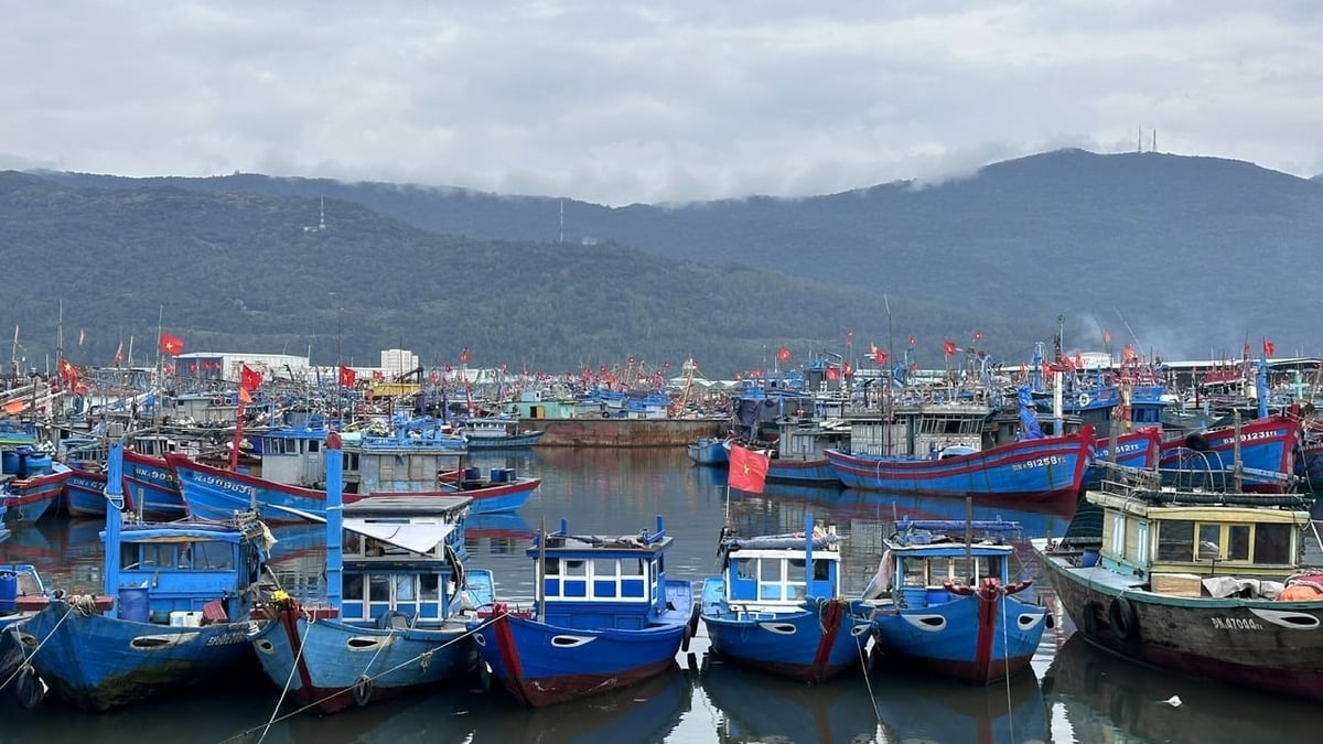 Cập nhật quy hoạch di dời cảng cá Thọ Quang. Ảnh: Lê Phi