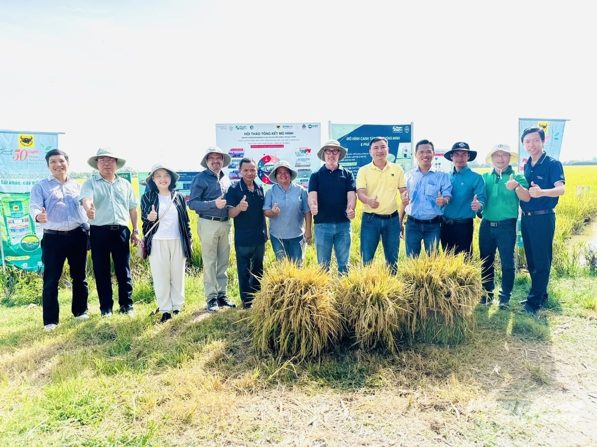 Các đại biểu tham quan mô hình canh tác lúa thông minh, phát thải thấp tại xã Định Hòa. Ảnh: Hoàng Vũ. Các đại biểu tham quan mô hình canh tác lúa thông minh, phát thải thấp tại xã Định Hòa. Ảnh: Hoàng Vũ.