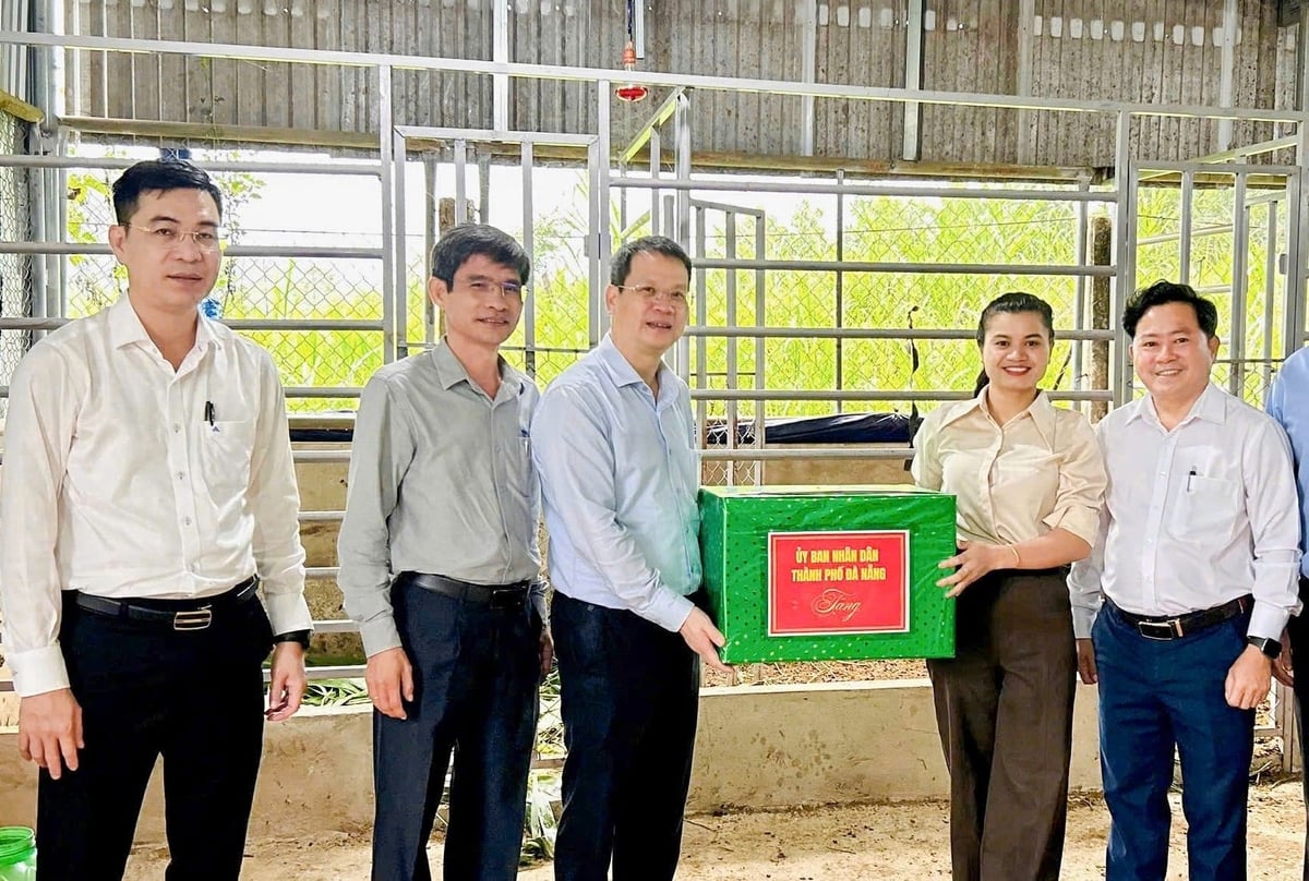 Chủ tịch UBND TP Đà Nẵng Nguyễn Mạnh Hùng (thứ 3 từ trái sang) thăm các hộ dân tham gia mô hình nuôi hươu lấy nhung tại xã Phước Chánh. Ảnh: Mai Quang.
