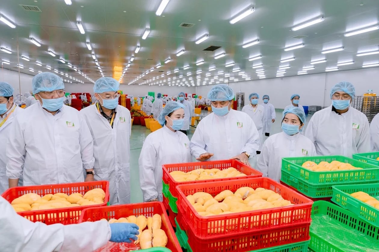Nhà máy chế biến trái cây xuất khẩu của Chánh Thu Group ở thôn Nam Kỳ, xã Cuôr Đăng, tỉnh Đắk Lắk. Ảnh: Trần Thọ. Nhà máy chế biến trái cây xuất khẩu của Chánh Thu Group ở thôn Nam Kỳ, xã Cuôr Đăng, tỉnh Đắk Lắk. Ảnh: Trần Thọ.