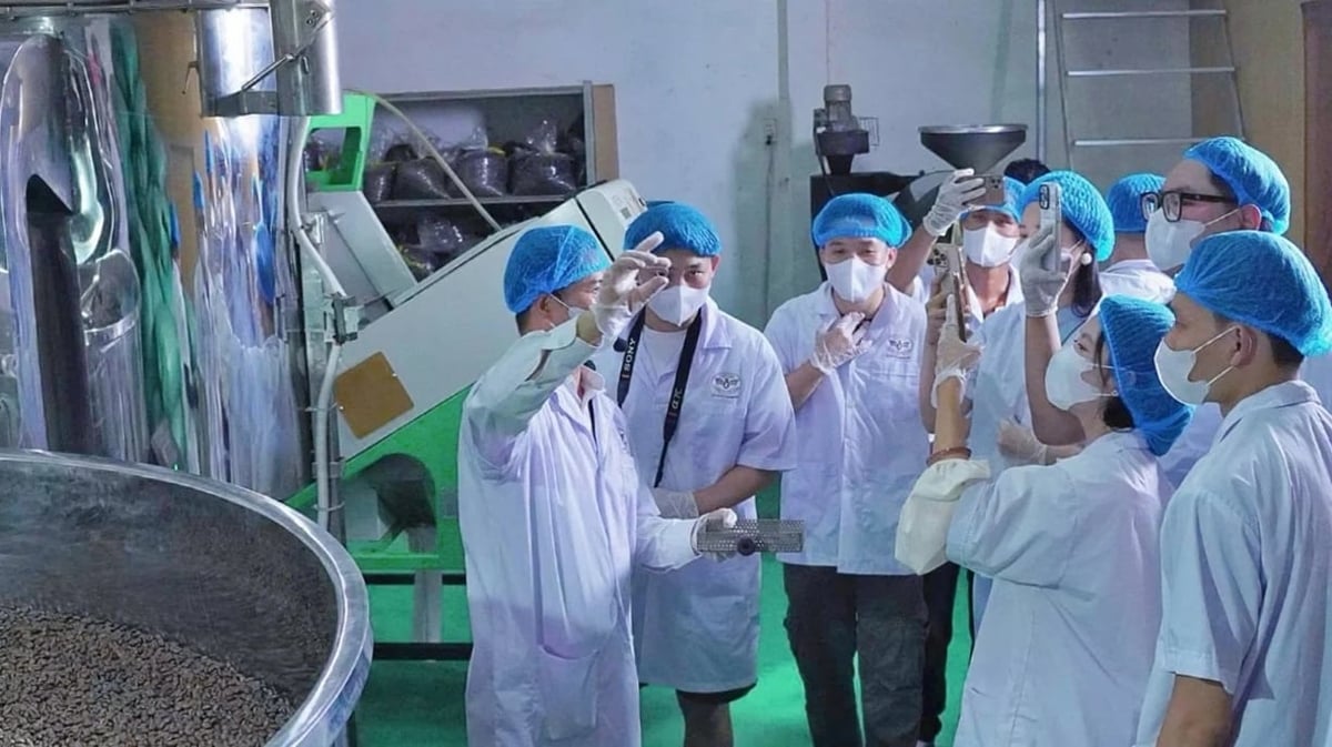 Xưởng sản xuất, chế biến cà phê của Công ty Vương Thành Công tại tỉnh Đắk Lắk. Ảnh: Vương Thành Công. Xưởng sản xuất, chế biến cà phê của Công ty Vương Thành Công tại tỉnh Đắk Lắk. Ảnh: Vương Thành Công.