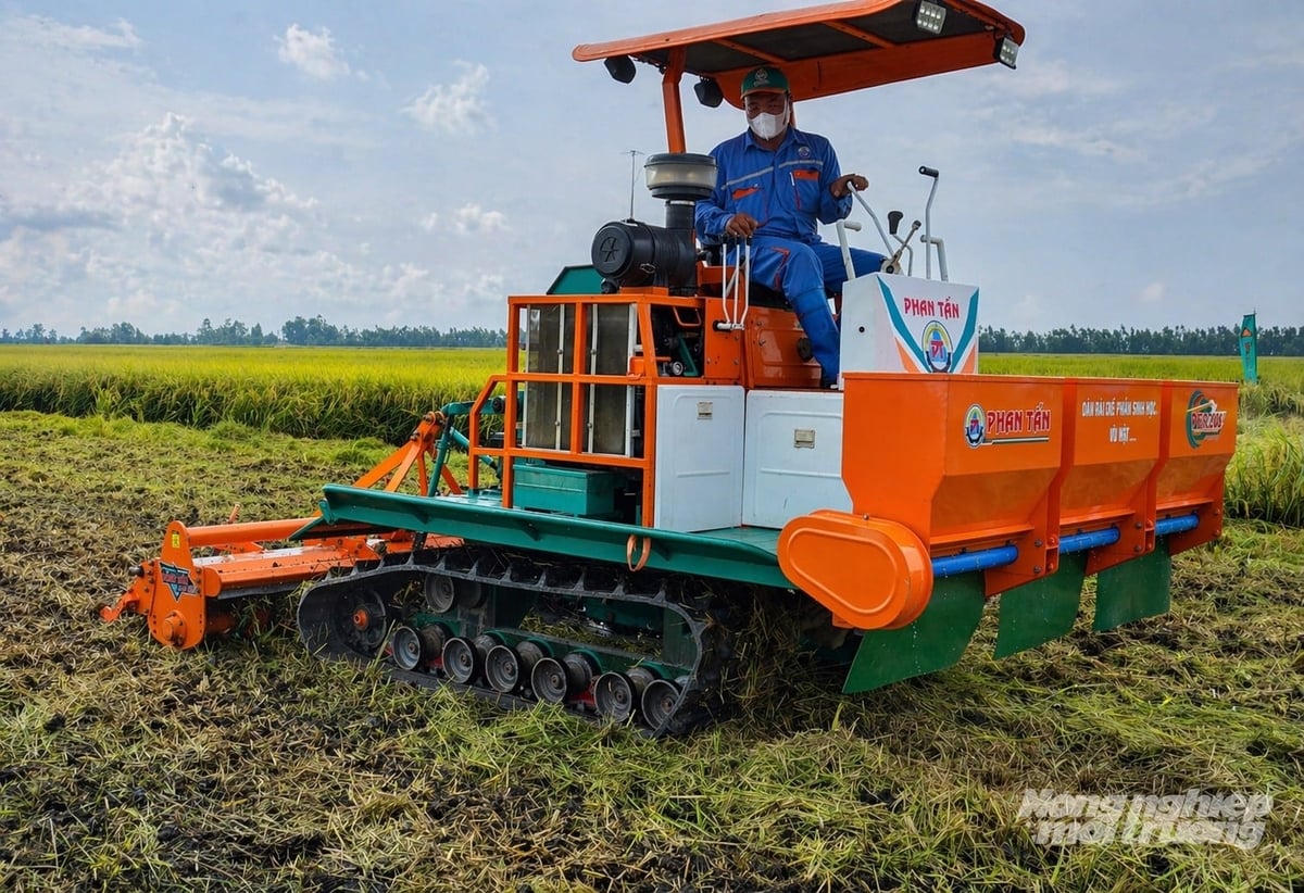 Sau thu hoạch lúa, rơm rạ được xử lý bằng chế phẩm sinh học kết hợp xới vùi để phân hủy nhanh. Ảnh: Trung Chánh.