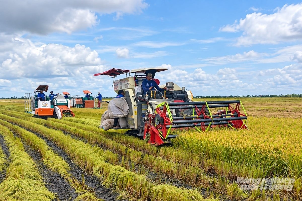 Mô hình áp gụng cơ giới hóa đồng bộ từ khâu làm đất, gieo sạ, chắm sóc, đến thu hoạch, gắn với quy trình sản xuất lúa chất lượng cao, phát thải thấp. Ảnh: Trung Chánh.