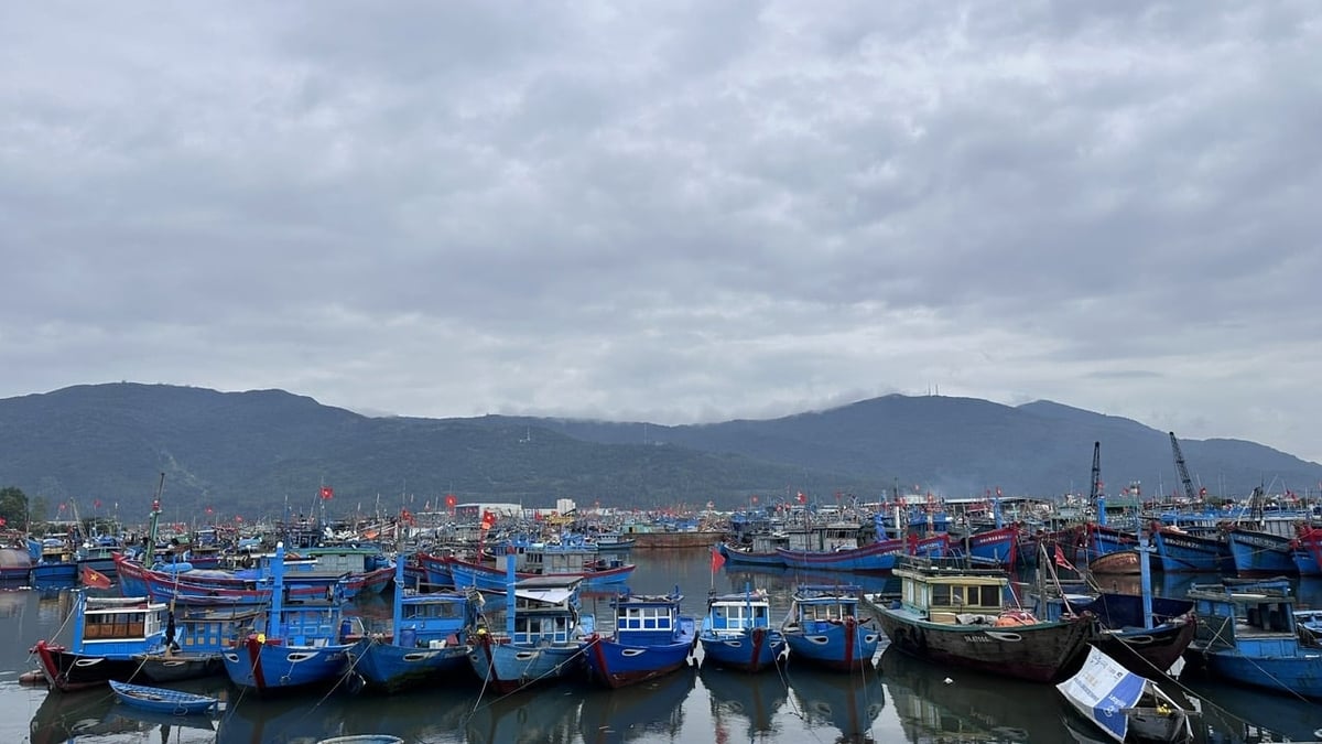 Công ty cổ phần Xuân Cầu Holdings đề nghị thành phố xem xét ban hành cơ chế, chính sách đặc thù cho phép triển khai dự án di dời cảng cá Thọ Quang. Ảnh: Lê Phi