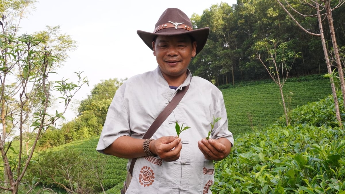Anh Trọng đang từng bước phát triển mô hình du lịch cộng đồng gắn với những đồi chè. Ảnh: Minh Toàn.