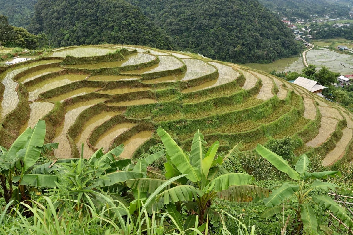 Những thửa ruộng bậc thang ở Vân Sơn. Ảnh: Dương Đình Tường. Những thửa ruộng bậc thang ở Vân Sơn. Ảnh: Dương Đình Tường.