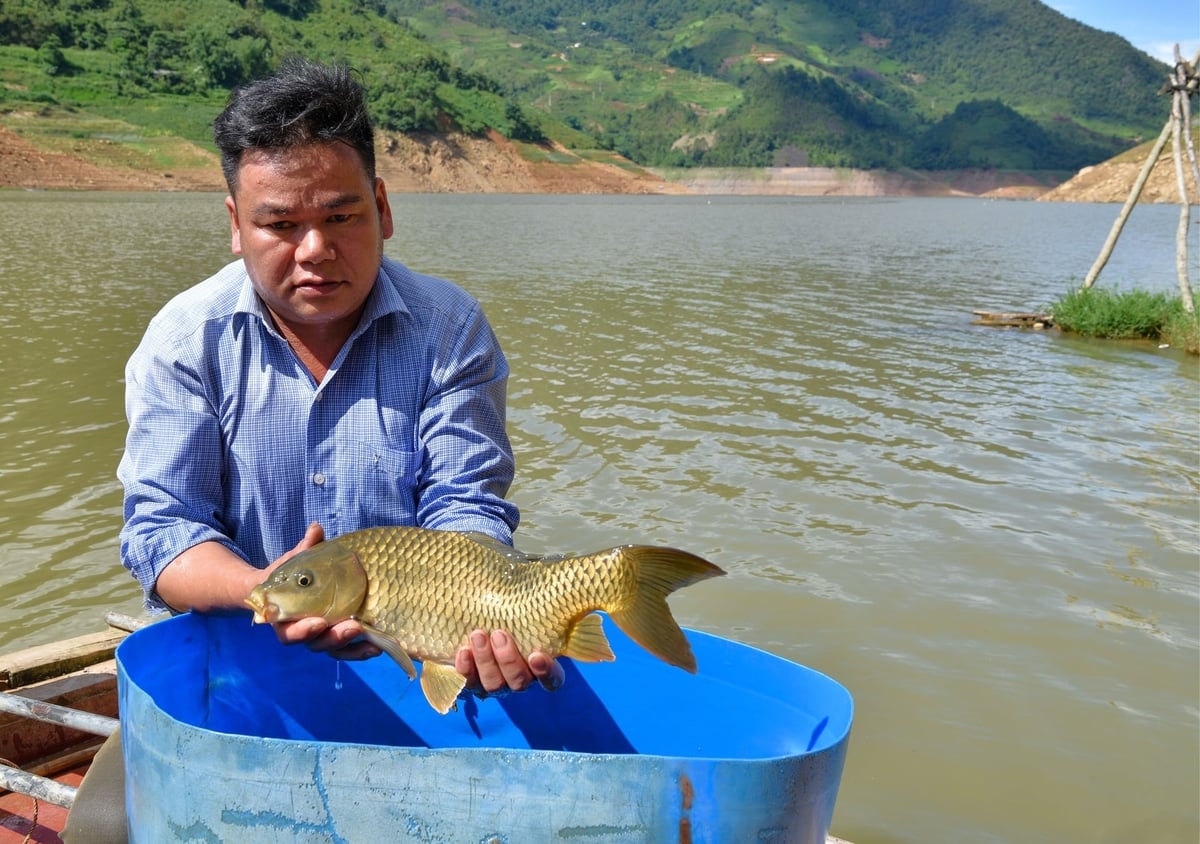 Anh Quàng Văn Hoàng bên con cá chép gù. Ảnh: Dương Đình Tường.
