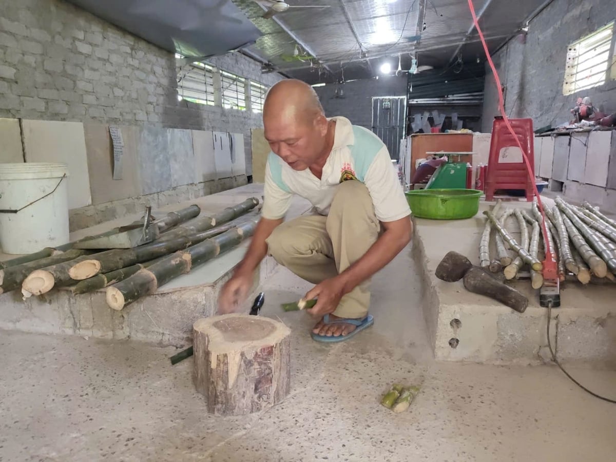 Thức ăn của dúi khá đơn giản, chi phí thấp. Ảnh: Đình Tiệp.