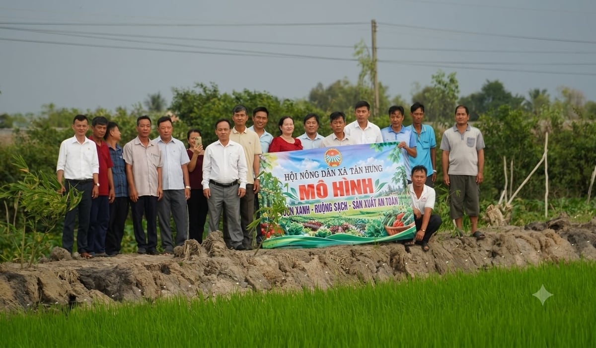 Thông qua mô hình, Tây Ninh từng bước nhân rộng các giải pháp canh tác lúa chất lượng cao, phát thải thấp. Ảnh: Trần Trung.
