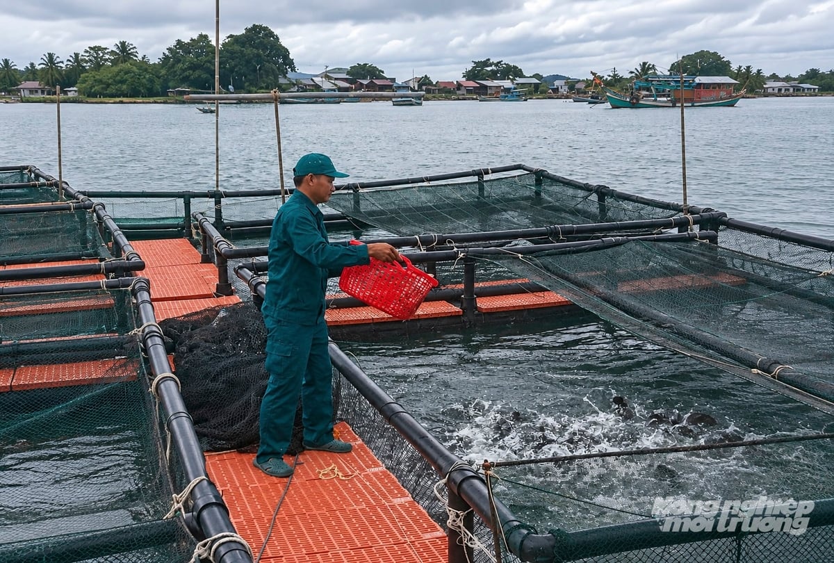 Lồng nhựa HDPE có độ bền cao, chịu sóng gió tốt, thích hợp nuôi biển xa bờ. Ảnh: Trung Chánh. Lồng nhựa HDPE có độ bền cao, chịu sóng gió tốt, thích hợp nuôi biển xa bờ. Ảnh: Trung Chánh.