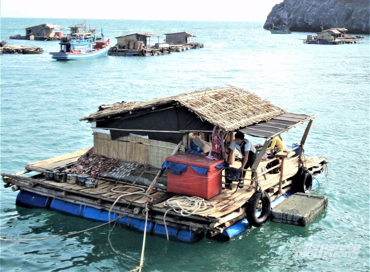 Ngư dân An Giang phần lớn vẫn nuôi biển bằng lồng bè gỗ, độ bền và sức chống chịu kém. Ảnh: Trung Chánh. Ngư dân An Giang phần lớn vẫn nuôi biển bằng lồng bè gỗ, độ bền và sức chống chịu kém. Ảnh: Trung Chánh.