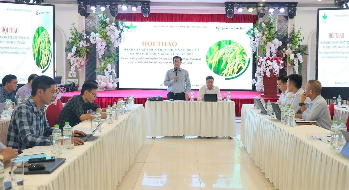 Ngành chuyên môn và các địa phương ở Hà Tĩnh bàn giải pháp mở rộng diện tích canh tác lúa giảm phát thải năm 2027. Ảnh: Thanh Nga.