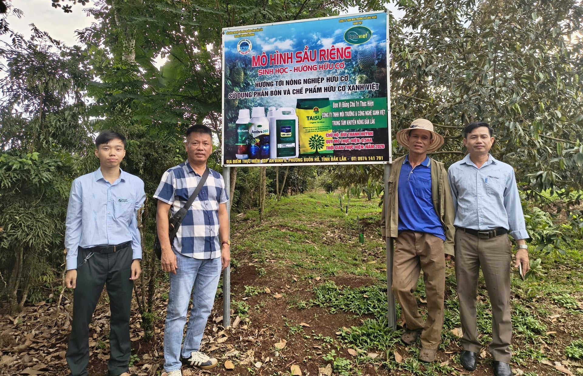 Mô hình trình diễn sử dụng phân bón hữu cơ và chế phẩm sinh học tại HTX Nông nghiệp Buôn Hồ. Ảnh: TTKN.