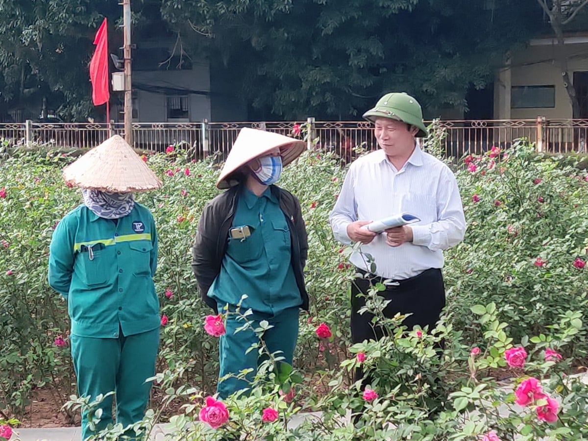 PGS.TS Đặng Văn Đông trao đổi, hướng dẫn công nhân chăm sóc hoa hồng tại mô hình ở Cẩm Phả. Ảnh: NVCC.