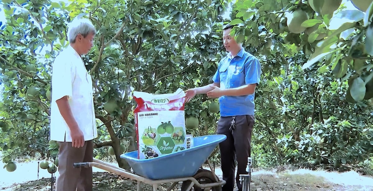 Kỹ sư Trịnh Đình Tâm (phải) - Phó Giám đốc Công ty cổ phần thương mại vật tư Bình Phước đánh giá cao mô hình bưởi da xanh của ông Hùng. Ảnh: Hồng Thủy. Kỹ sư Trịnh Đình Tâm (phải) - Phó Giám đốc Công ty cổ phần thương mại vật tư Bình Phước đánh giá cao mô hình bưởi da xanh của ông Hùng. Ảnh: Hồng Thủy.