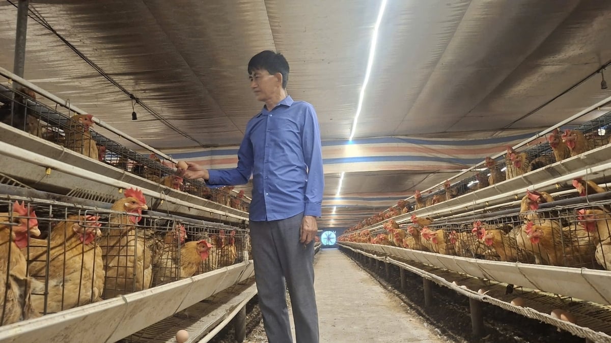 Ông Đào Hữu Thuân giới thiệu những thành quả đạt được trong chăn nuôi nhờ ứng dụng khoa học công nghệ. Ảnh: Đinh Mười.