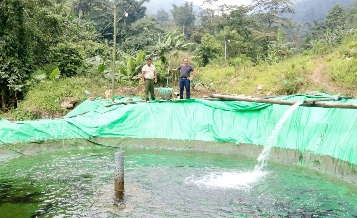 Mạnh dạn chuyển đổi phương thức chăn nuôi, nhiều hộ đồng bào dân tộc thiểu số ở xã Nậm Chày đã lựa chọn nuôi cá tầm để phát triển kinh tế. Ảnh: Bích Hợp.