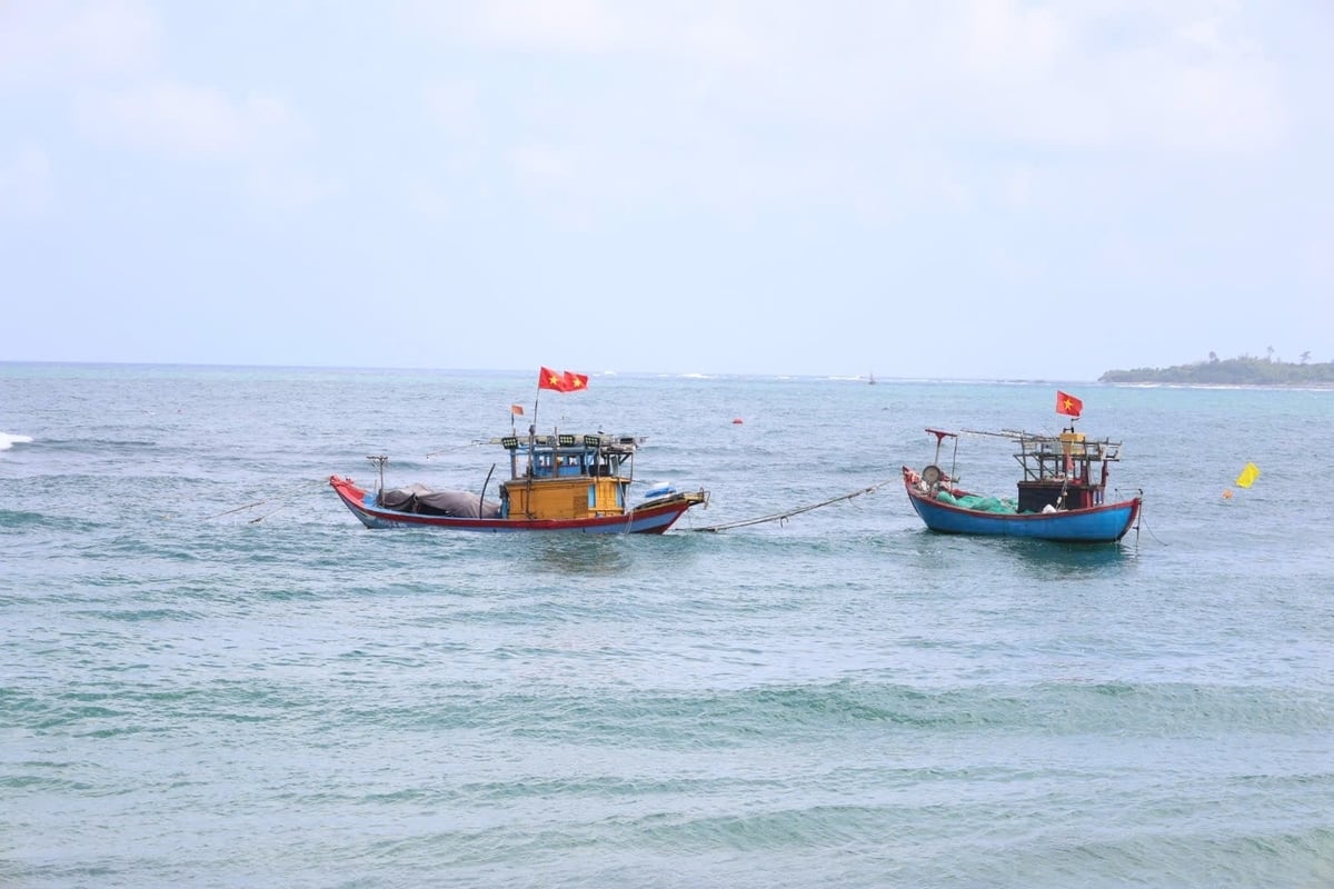 Quảng Ngãi hiện có khoảng hơn 4.800 tàu cá dài từ 6 m trở lên, hoạt động tại nhiều ngư trường, đặc biệt là Hoàng Sa và Trường Sa. Ảnh: Võ Hà. Quảng Ngãi hiện có khoảng hơn 4.800 tàu cá dài từ 6 m trở lên, hoạt động tại nhiều ngư trường, đặc biệt là Hoàng Sa và Trường Sa. Ảnh: Võ Hà.