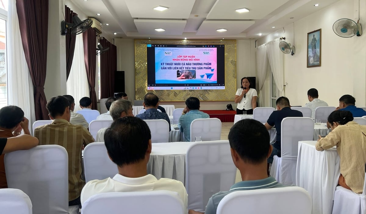 Trung tâm Khuyến nông TP Huế tập huấn nhân rộng các mô hình khuyến nông cho nông dân. Ảnh: Văn Dinh.