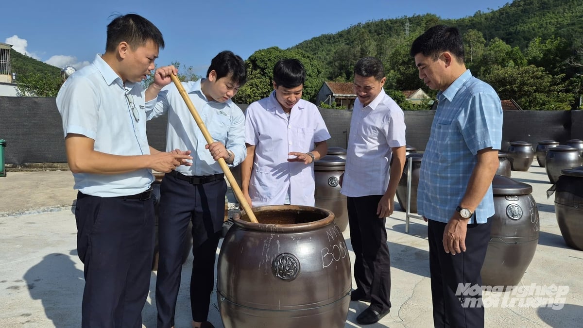 Ngoài chả mực, công nghệ enzyme còn được ứng dụng trong sản xuất nước mắm. Ảnh: Nguyễn Thành. Ngoài chả mực, công nghệ enzyme còn được ứng dụng trong sản xuất nước mắm. Ảnh: Nguyễn Thành.