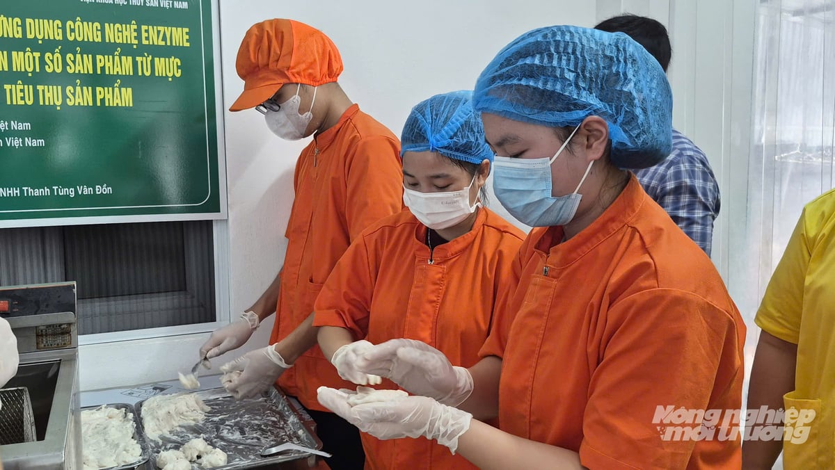 Công ty TNHH Thanh Tùng Vân Đồn đưa công nghệ enzyme vào sản xuất chả mực. Ảnh: Nguyễn Thành. Công ty TNHH Thanh Tùng Vân Đồn đưa công nghệ enzyme vào sản xuất chả mực. Ảnh: Nguyễn Thành.